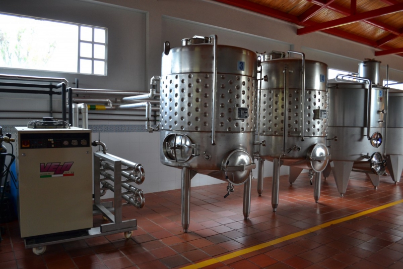 cave-GARS-min_wine_production_cantine_winery_drink_alcohol_vine_beverage-902036